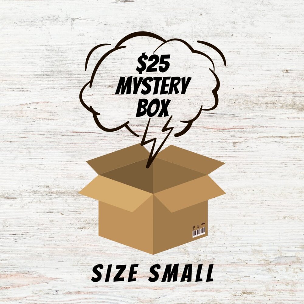 Boho Dreams Mystery Box | 5 Women's Small Pieces | Tops & Dress Bundle